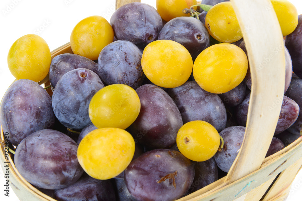 basket of plums on a white background basket of plums on a white background