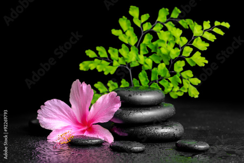 beautiful spa concept of pink hibiscus flower, fern branch and s