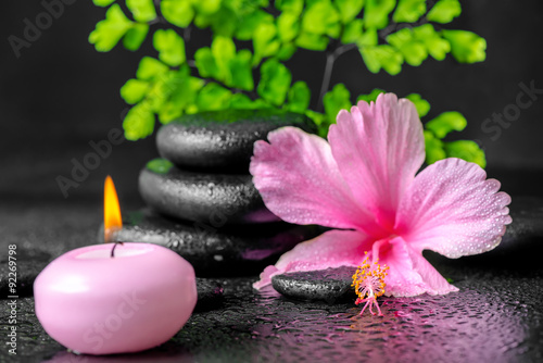 beautiful spa concept of pink hibiscus flower  fern branch  cand