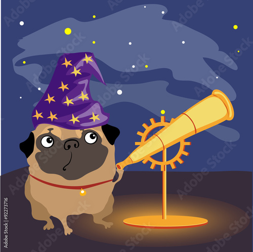 Scientist dog pug watching the stars