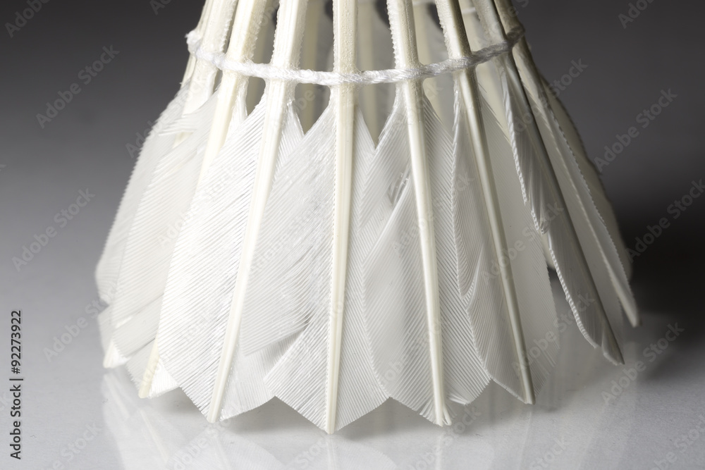 Feathered White Shuttlecock Feathered White Shuttlecock