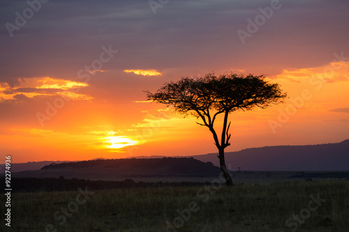 Sunset in the Serengeti National Park, Tanzania, Africa