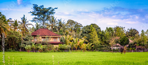 Traditional balinese house in a rice field