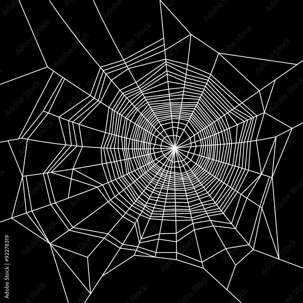 Obraz premium Cobweb. White on Black Background. Vector