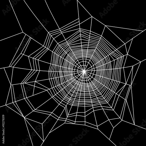 Cobweb. White on Black Background. Vector
