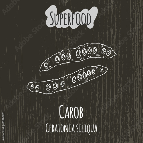 Hand drawing illustration of carob pods. Ceratonia siliqua.