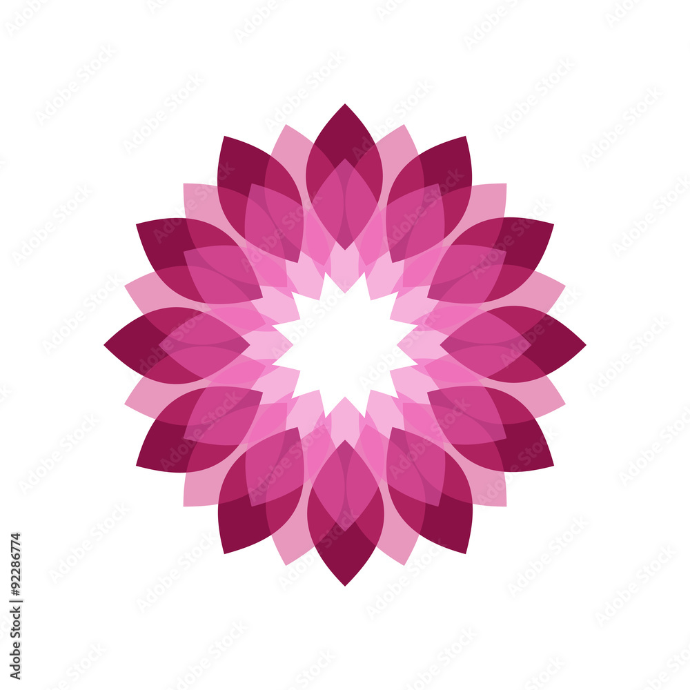 Fototapeta premium Magenta Flower Shades