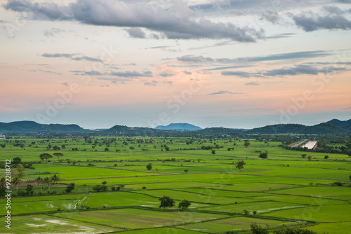 Field and Mountain landscape