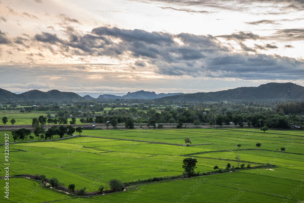 Naklejka premium Field and Mountain landscape