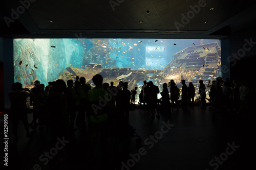 Silhouette people in aquarium