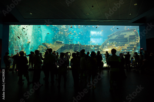 Canvas Print Silhouette people in aquarium