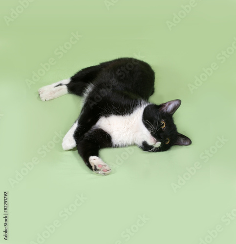 Black and white cat lies on green