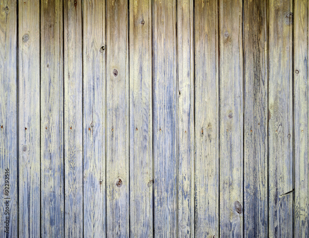 Fototapeta premium Texture of old green fence