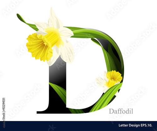 Fototapeta Naklejka Na Ścianę i Meble -  Letter D vector alphabet with daffodil flower. ABC concept type