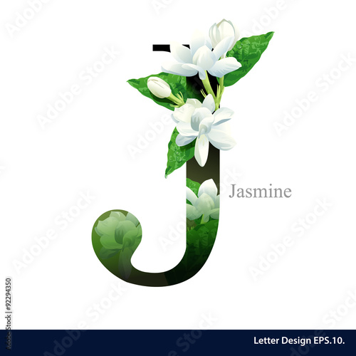 Letter J  vector alphabet with Jasmine flower. ABC concept type