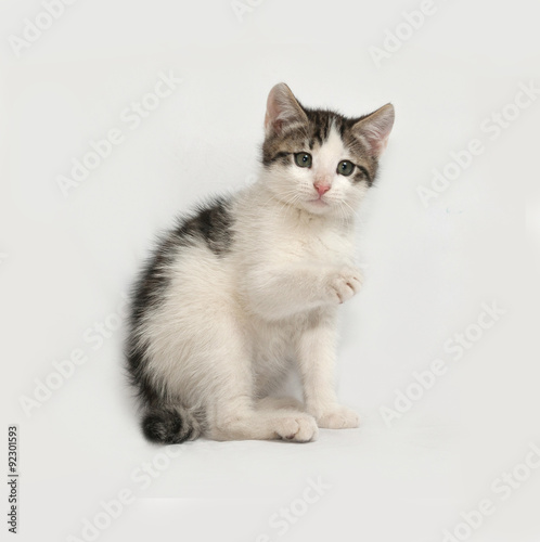 Striped and white kitten sitting on gray