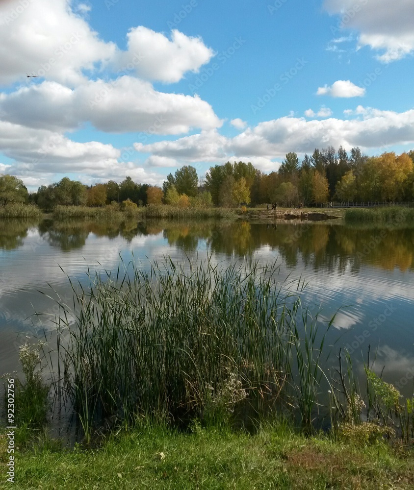 Pond in the park in autumn