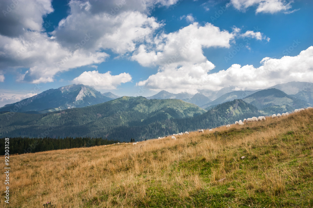 Tatra mountains.