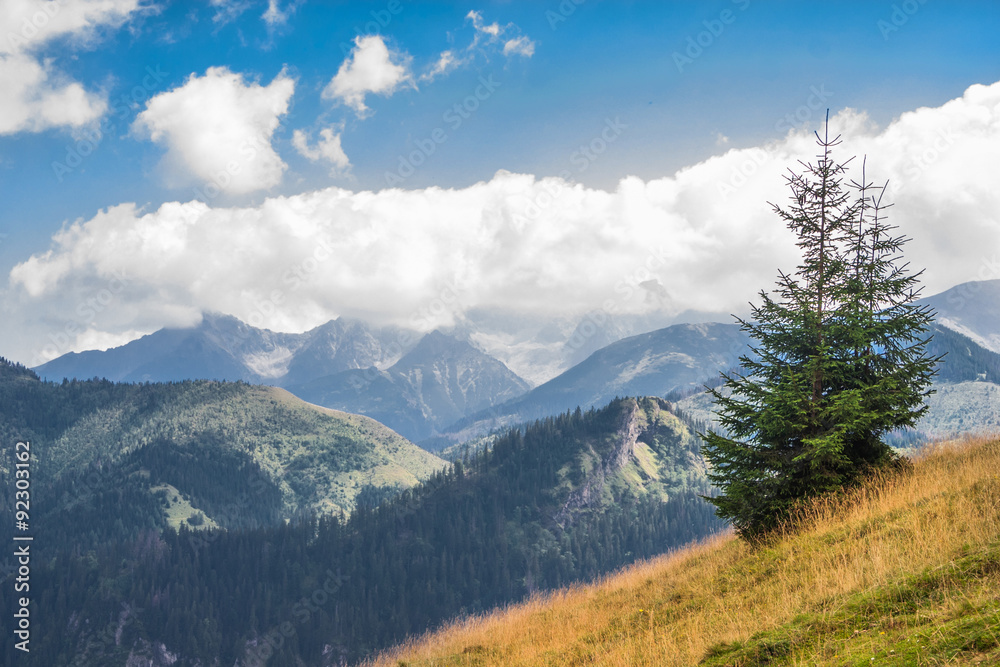Fototapeta premium Tatra mountains.