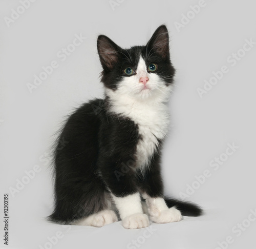 Black and white fluffy kitten sits on gray