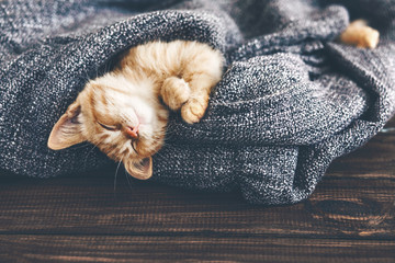 Keuken achterwand Kat Slapend rood kitten in rust  © Alena Ozerova