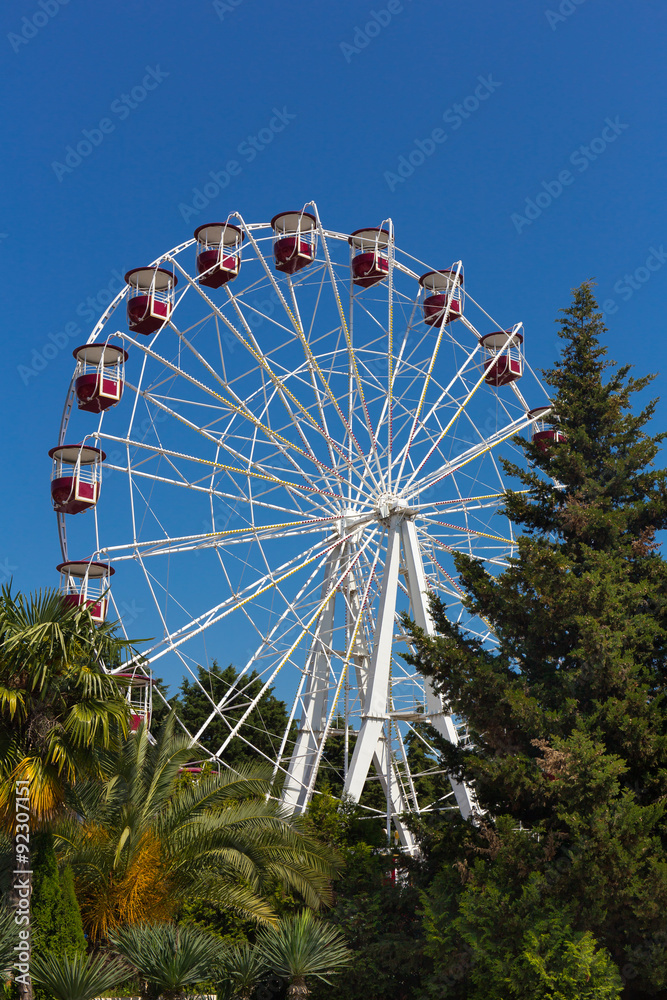 Big wheel in the park outdoor amusement attraction