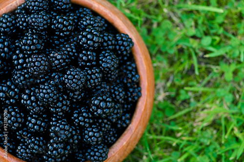 English black berry 英国のブラックベリー/ freshly picked English black berry. 新鮮なブラックベリーを摘みました。 photo