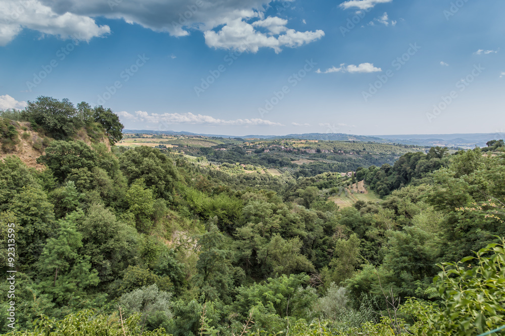 Fototapeta premium Summer in Tuscany