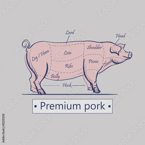 Vector cuts of pork