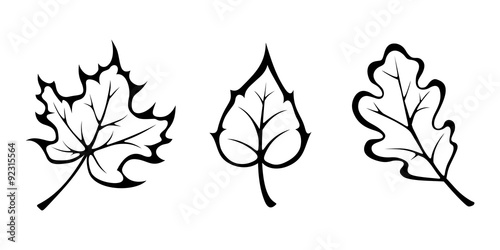 Autumn leaves. Vector black contours.