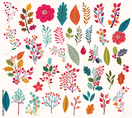 Collection of  flowers and leaves