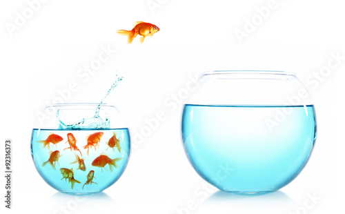 Goldfish jumping from glass aquarium  isolated on white