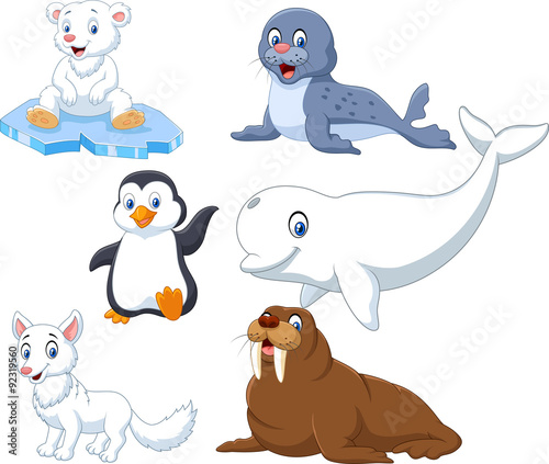 Arctics animals collection set 