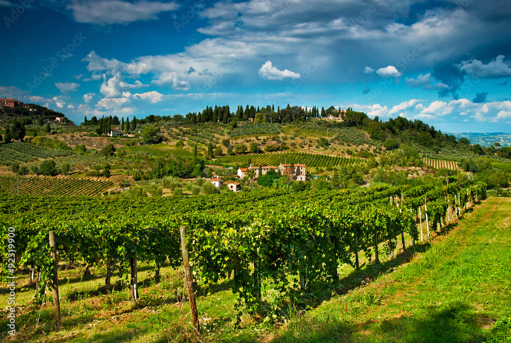 San Gimignano with vineyard