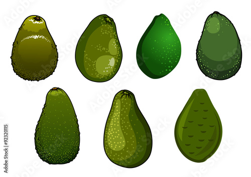 Dark green isolated avocado fruits