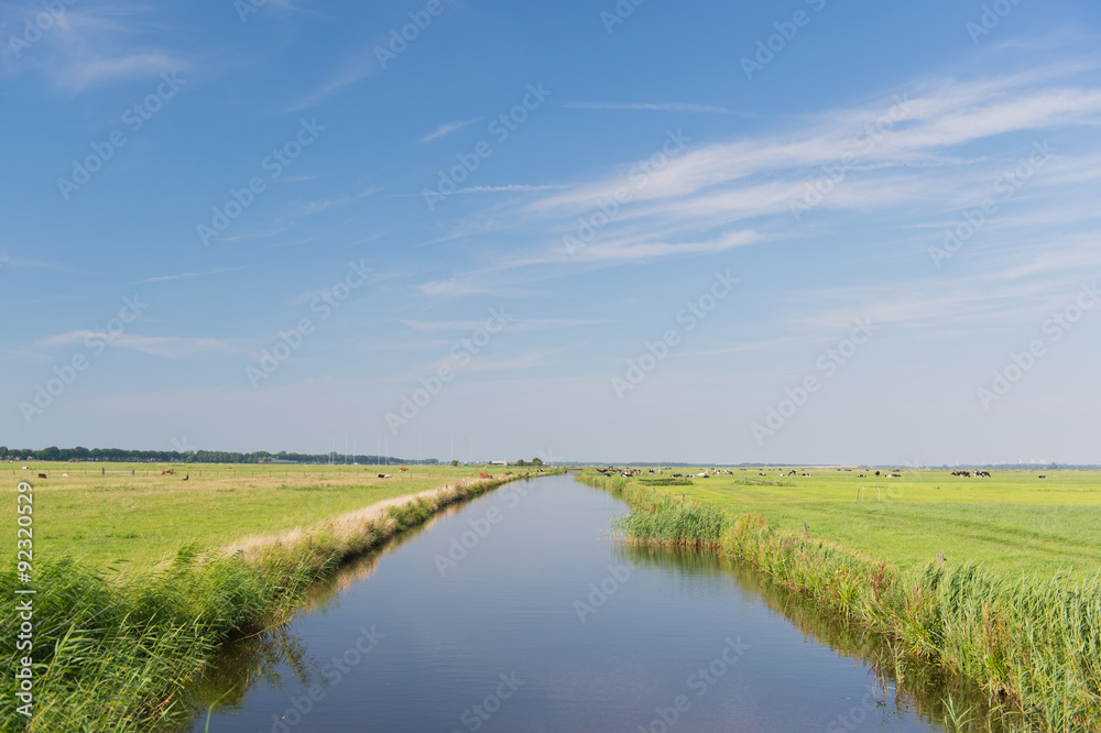 Fototapeta premium Typical Dutch landscape