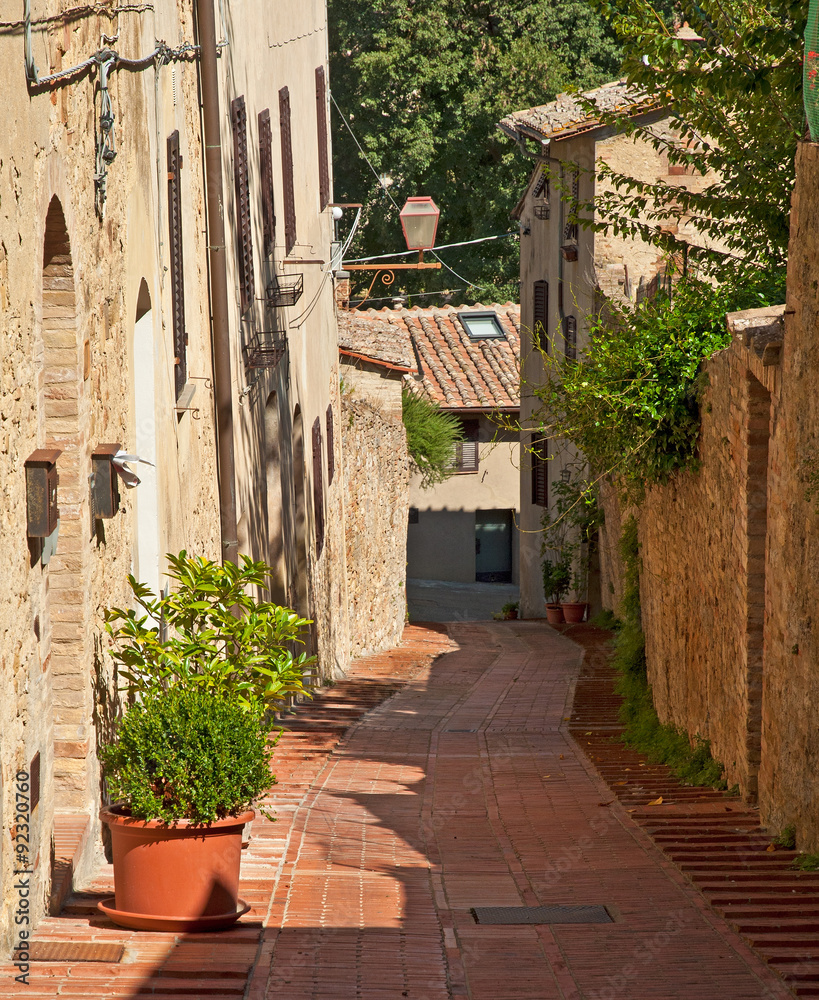 Fototapeta premium Narrow street in a village in Tuscany, Italy