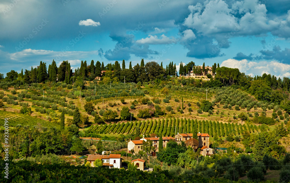 Panoramic view on San Gimignano with vineyards, one of the nicest villages of Italy