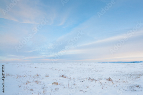 Snowy Prairie