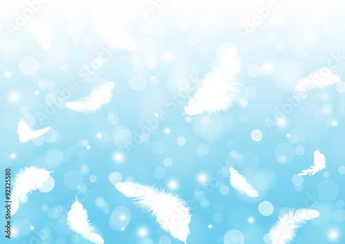 鳥の羽毛の背景