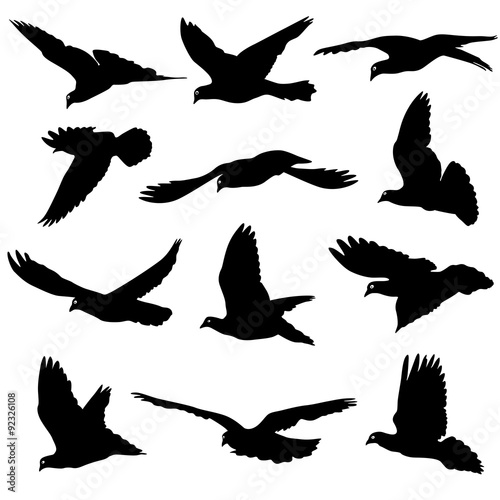 Concept of love or peace. Set of silhouettes of doves. Vector il