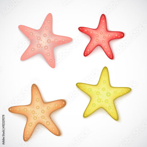 Starfishes on white background