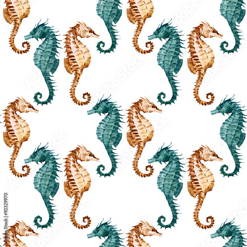 Watercolor seahorse pattern