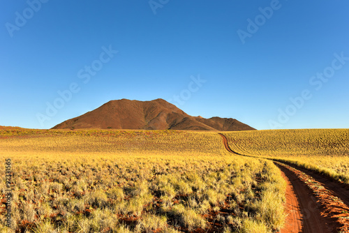 Φωτογραφία Desert Landscape - NamibRand, Namibia