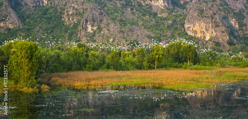 Landscape in Van Long natural reserve in Ninh Binh  Vietnam. Vietnam landscapes.