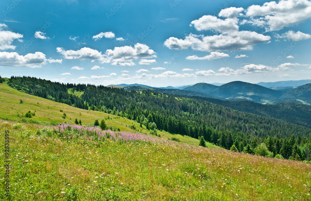 Beautiful mountains landscape