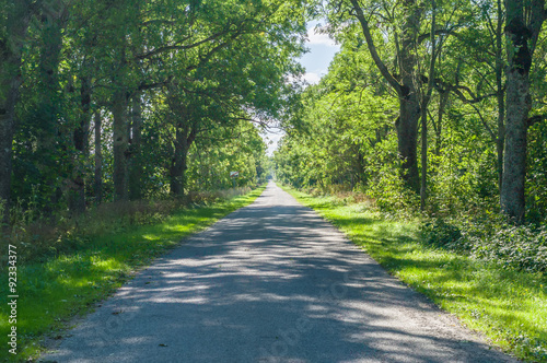 Alley and empty narrow countryside road, hdr image