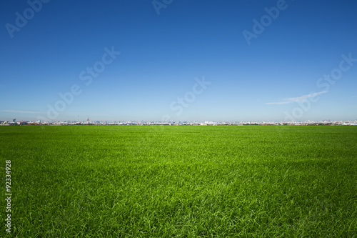 Blue Green Field Landscape