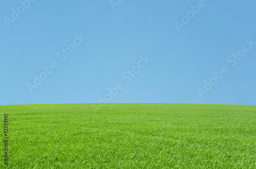 Blue Green Field Landscape 