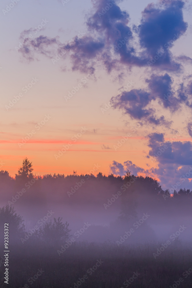 Obraz premium Fog in the forest early morning landscape with pink sky